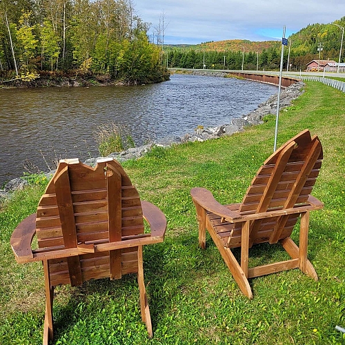 Chaises en forme de saumons